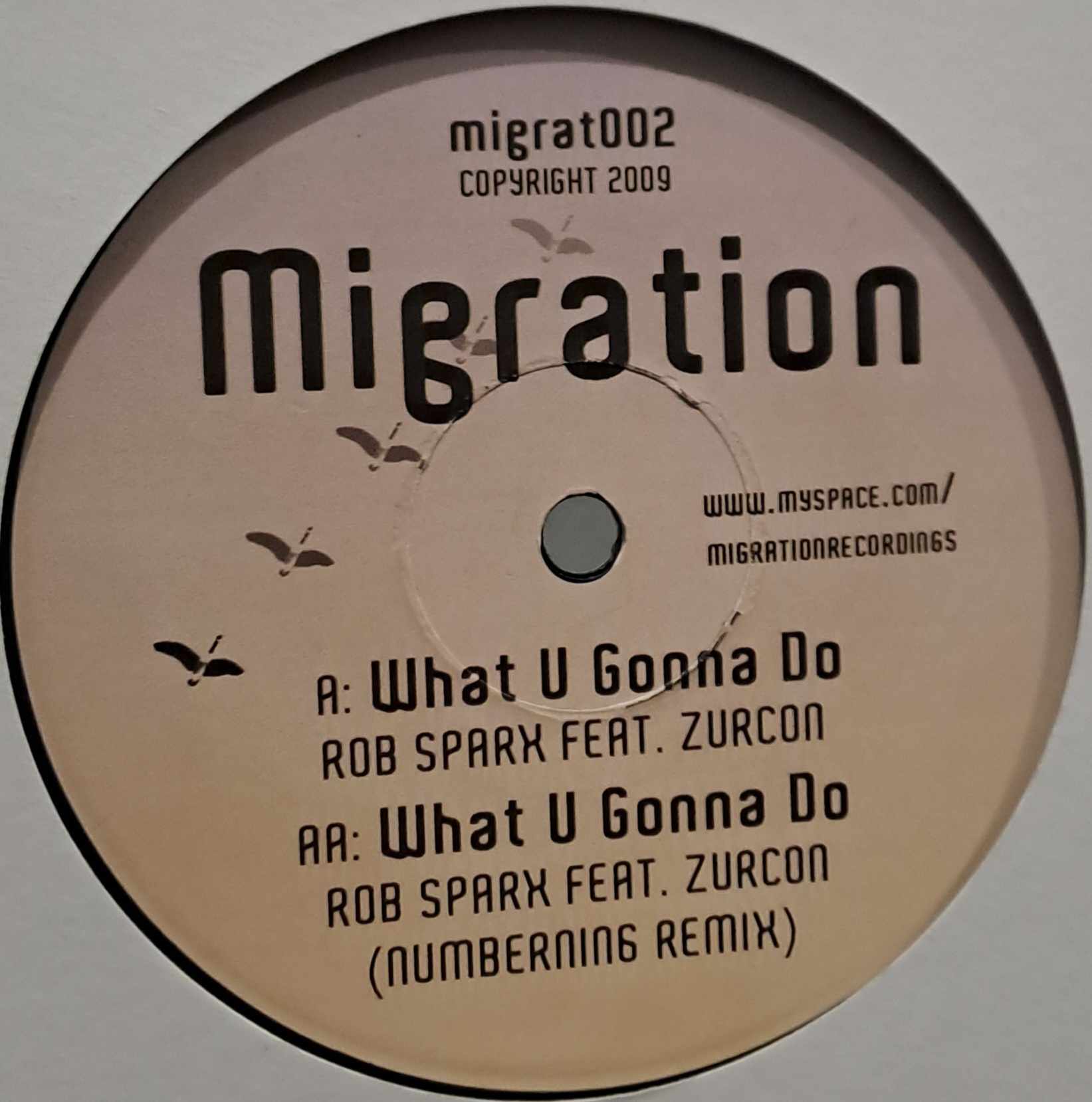 Migration 02 - vinyle dubstep